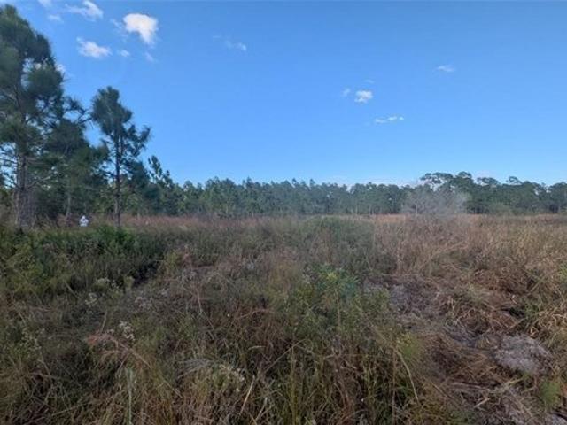 Land for sale in Clewiston, Florida