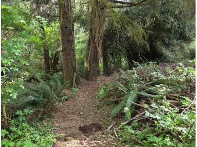 Land for sale in Oregonia