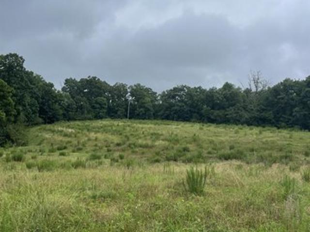 Land for sale in Arab, Alabama
