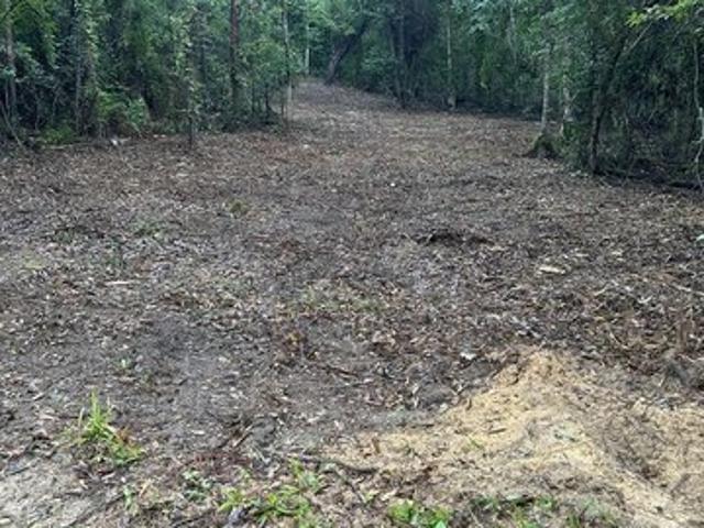 Land for sale in Newton, Texas