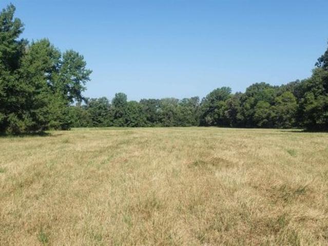 Land for sale in Camp, Texas