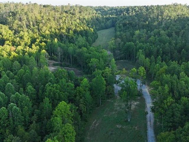 Land for sale in Campbellsville, Taylor County