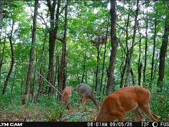 Land for sale in Union, Kentucky