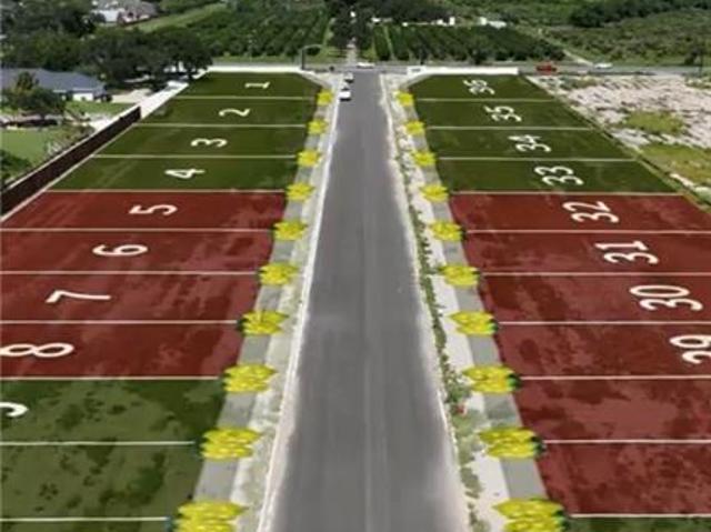 Land for sale in Weslaco, Hidalgo County