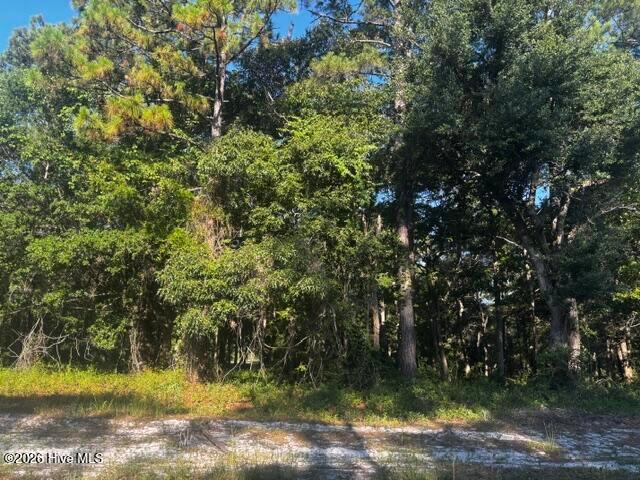 Land for sale in Bolivia, North Carolina