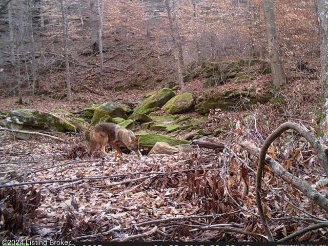 Land for sale in Bowling Green, Kentucky
