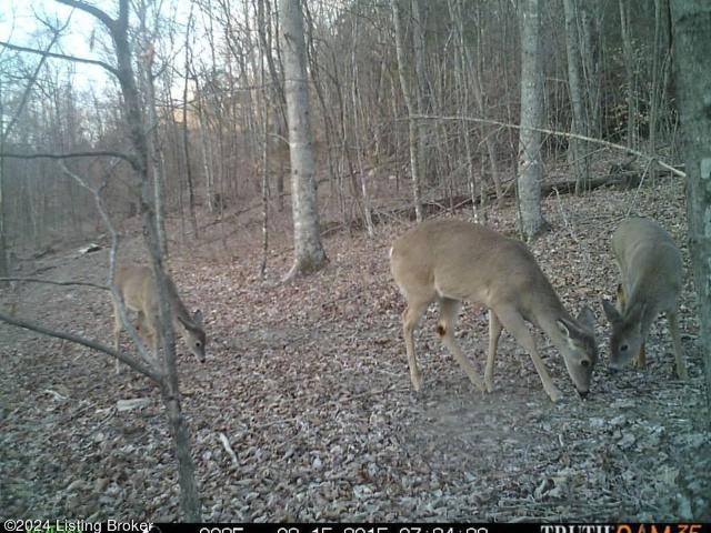 Land for sale in Bowling Green, Kentucky