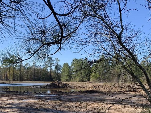Property for sale in Jasper, Texas