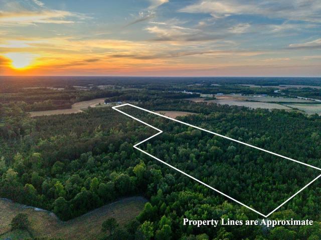 Land for sale in Greeleyville, South Carolina