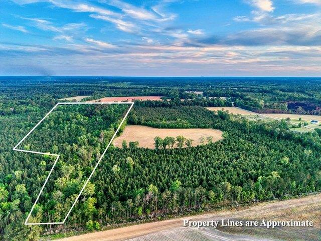 Land for sale in Greeleyville, South Carolina