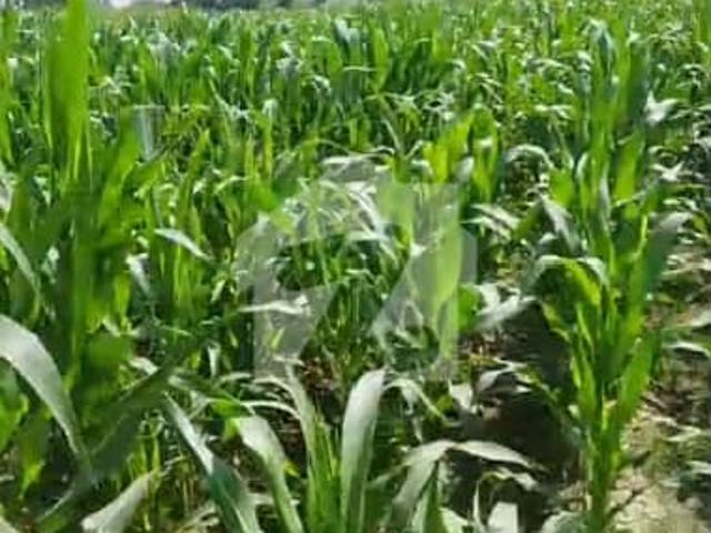 Land for sale in سرگودھا, سرگودھا ڈویژن