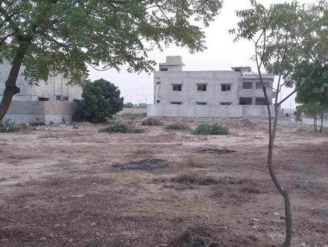 Land for sale in سچل گوٹھ, کراچی ڈویژن