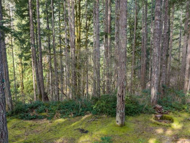 Land for sale in Hoodsport, Washington