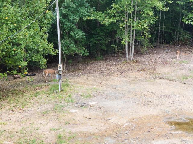 Land for sale in Powell, Kentucky
