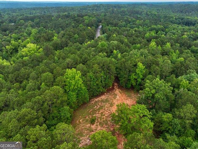 Land for sale in Baldwin, Georgia