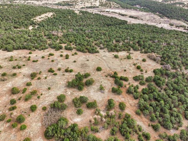 Land for sale in Placitas, New Mexico
