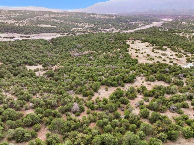 Land for sale in Tijeras, Bernalillo County
