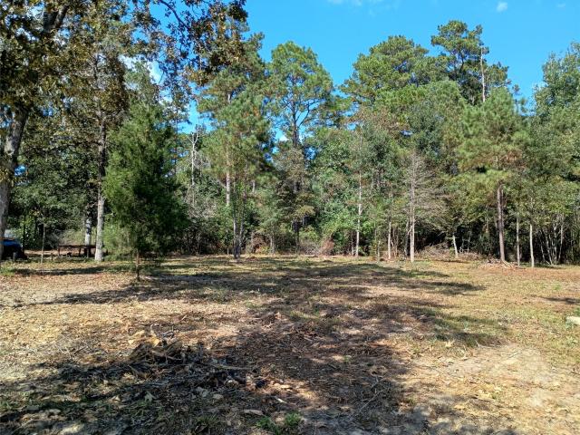Property for sale in Ivanhoe, Texas