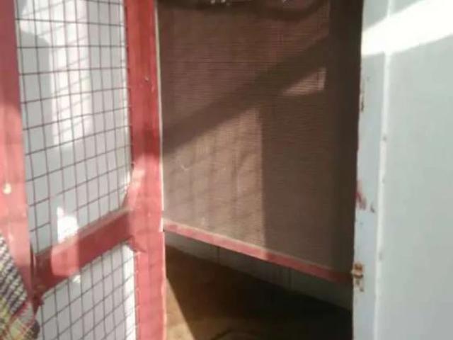 Commercial for rent in شانتی نگر, کراچی ڈویژن