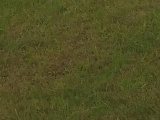 Land for sale in Ludhiana, Punjab