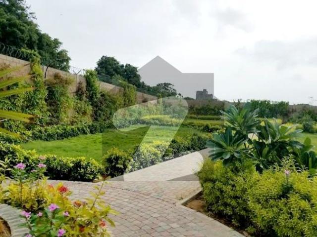 House for rent in North Waziristan, Federally Administered Tribal Areas fata