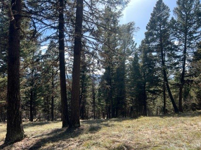 Land for sale in Seeley Lake, Montana