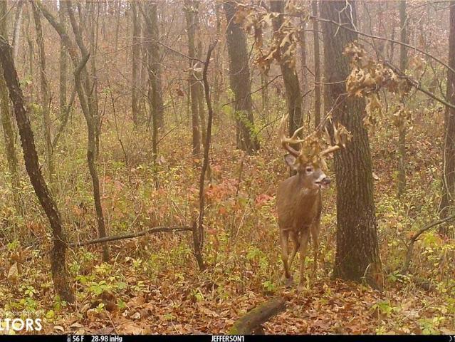 Land for sale in Fairfield, Iowa
