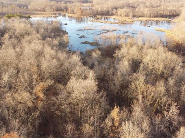 Land for sale in Luck, Wisconsin