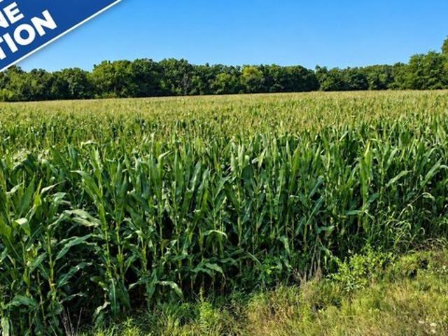 Land for sale in Keokuk, Iowa