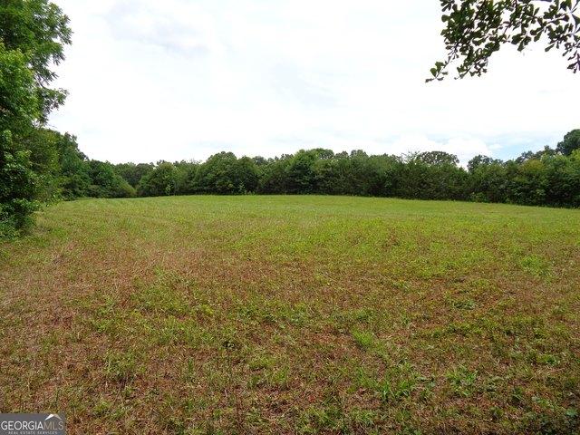 Land for sale in Carnesville, Georgia