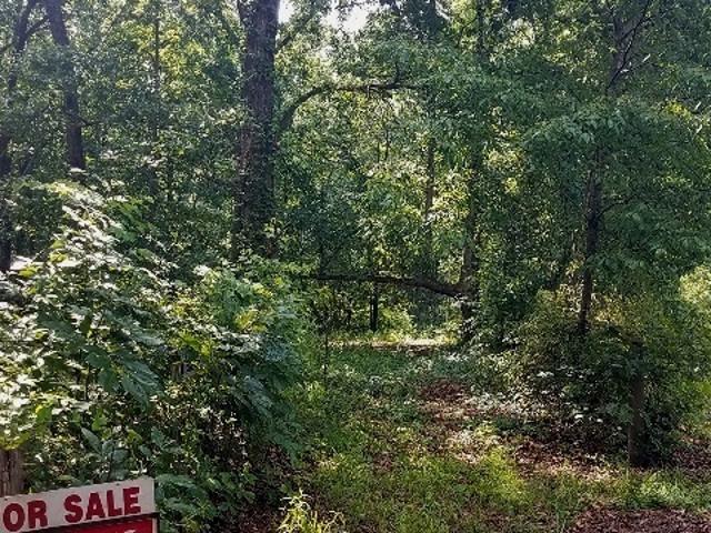 Land for sale in Carnesville, Georgia