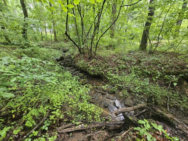 Land for sale in Tennessee