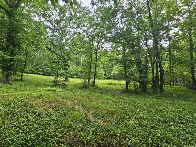 Land for sale in Tennessee