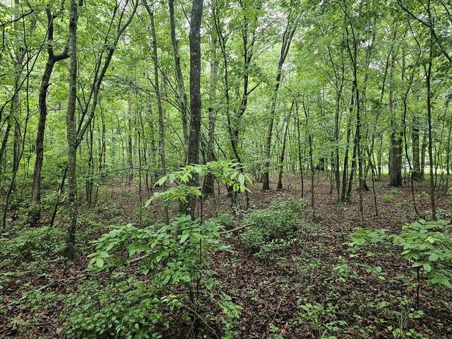 Land for sale in Tennessee