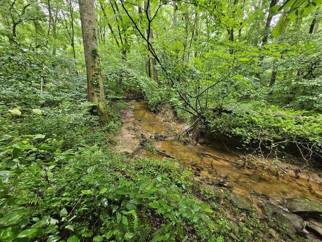 Land for sale in Tennessee