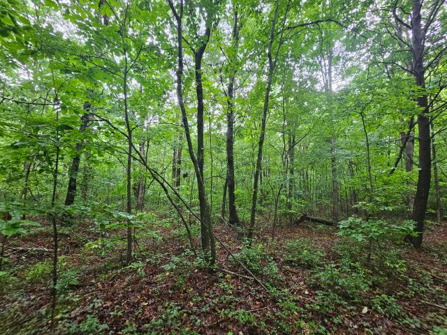 Land for sale in Tennessee