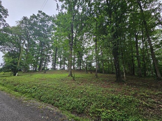 Land for sale in Tennessee