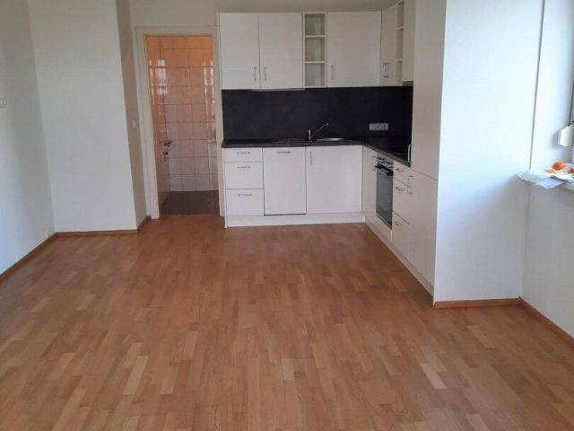 Apartment mieten in Wolfsthal, Niederösterreich