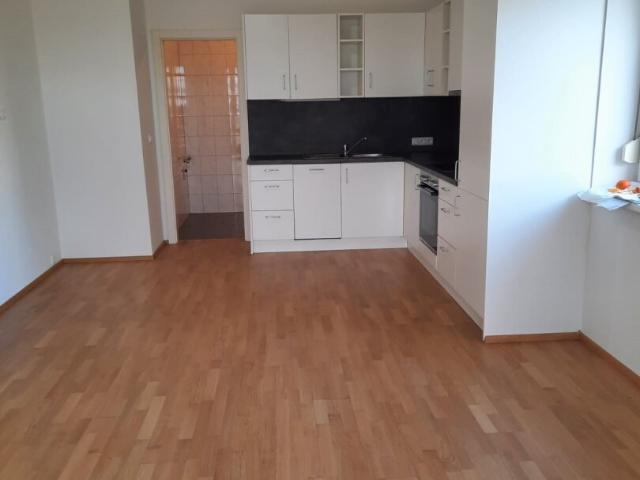 Apartment mieten in Halbturn, Burgenland