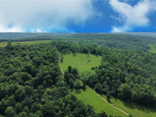 Property for sale in Troupsburg, New York