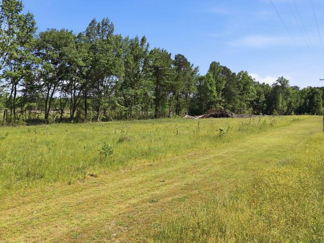 Land for sale in Rocky Mount, North Carolina