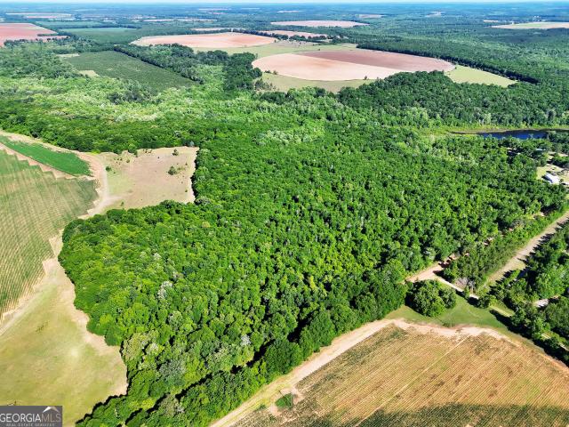 Land for sale in Shellman, Georgia