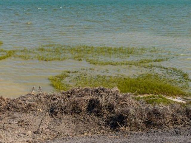 Land for sale in Bayside, Texas