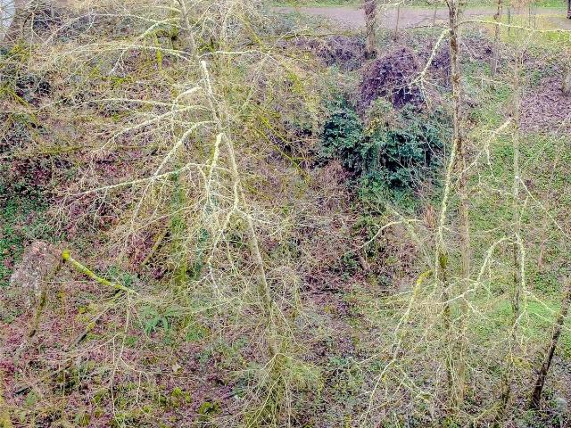 Land for sale in North City, Shoreline