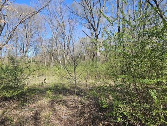 Land for sale in Wood, Texas