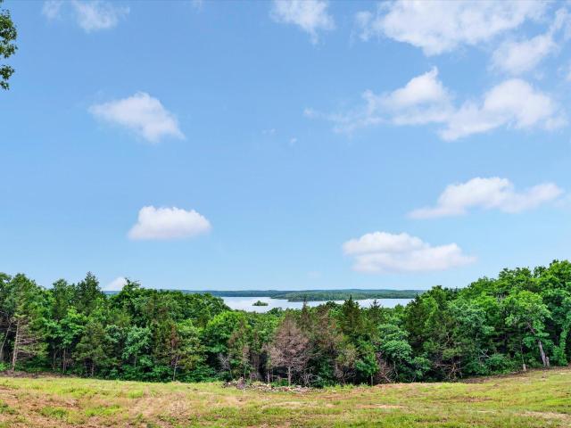Land for sale in Hickory, Missouri