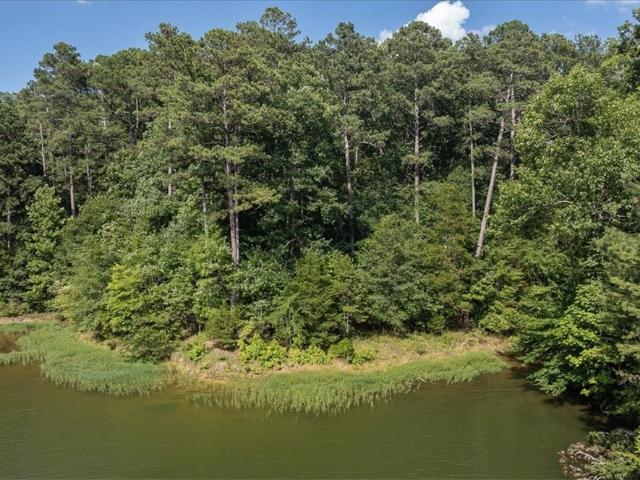 Land for sale in Elbert, Georgia