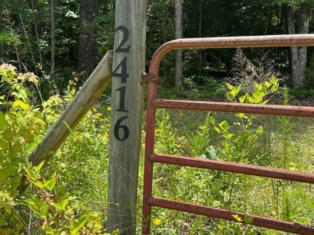 Land for sale in Elbert, Georgia