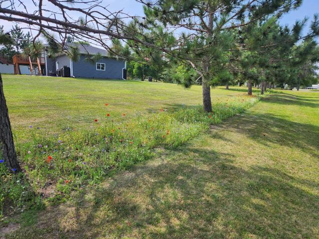 House for sale in Beltrami, Minnesota