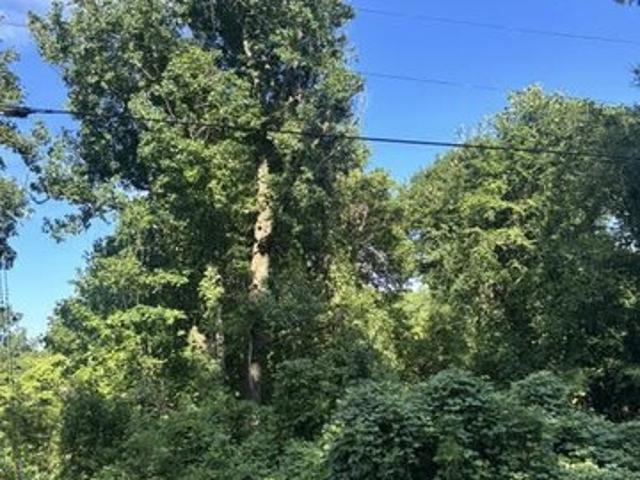 Land for sale in Wake, North Carolina
